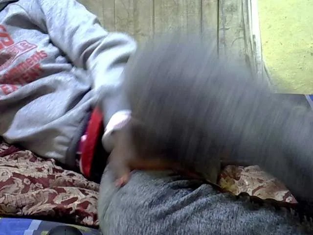 black-beauty from BongaCams