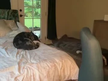 kaileeshy from Chaturbate